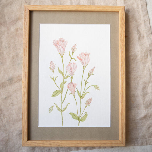 Lisianthus - Original Aquarell
