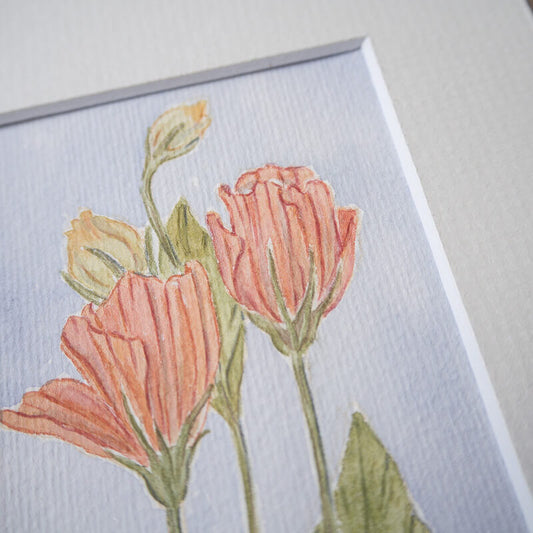 Lisianthus - Original Mini Aquarell