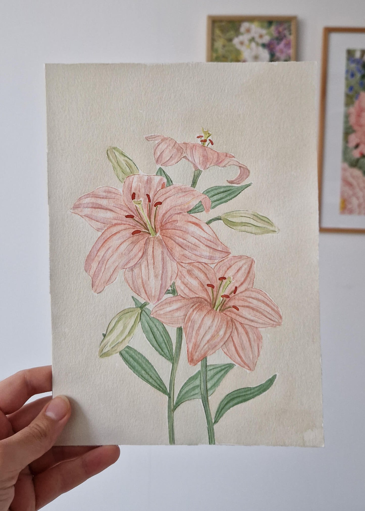 rosa Lilien - Original Aquarell