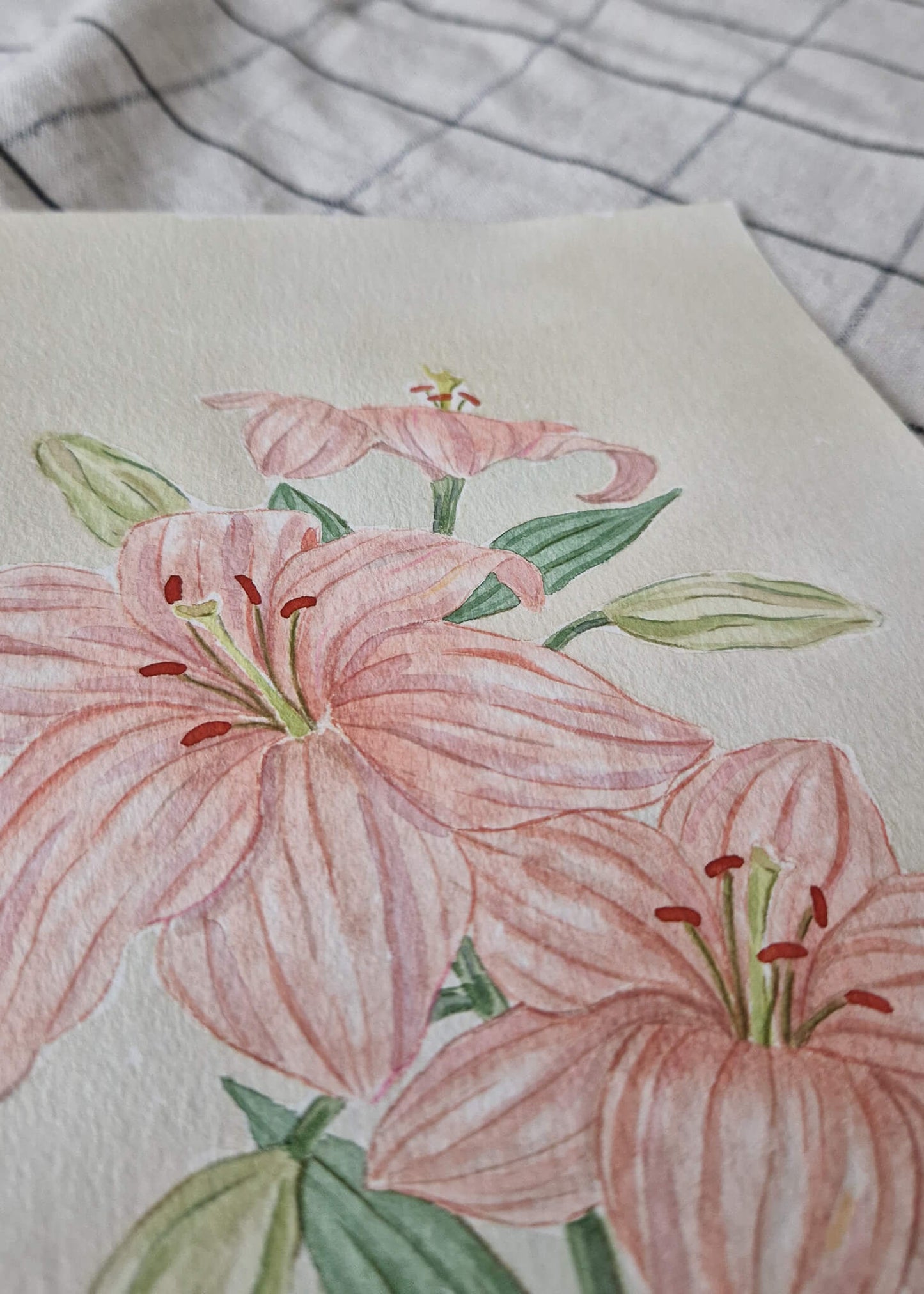 rosa Lilien - Original Aquarell