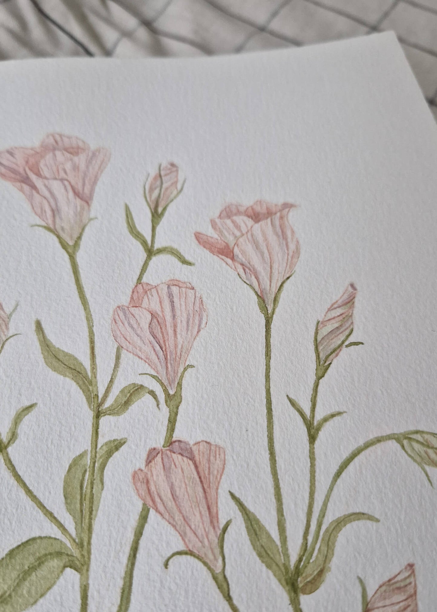 Lisianthus - Original Aquarell