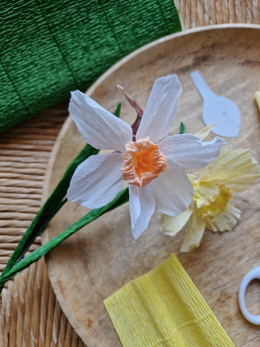 Papierblumen-Workshop