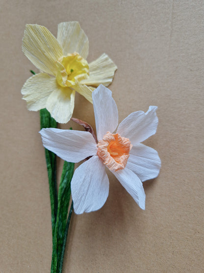 Papierblumen-Workshop