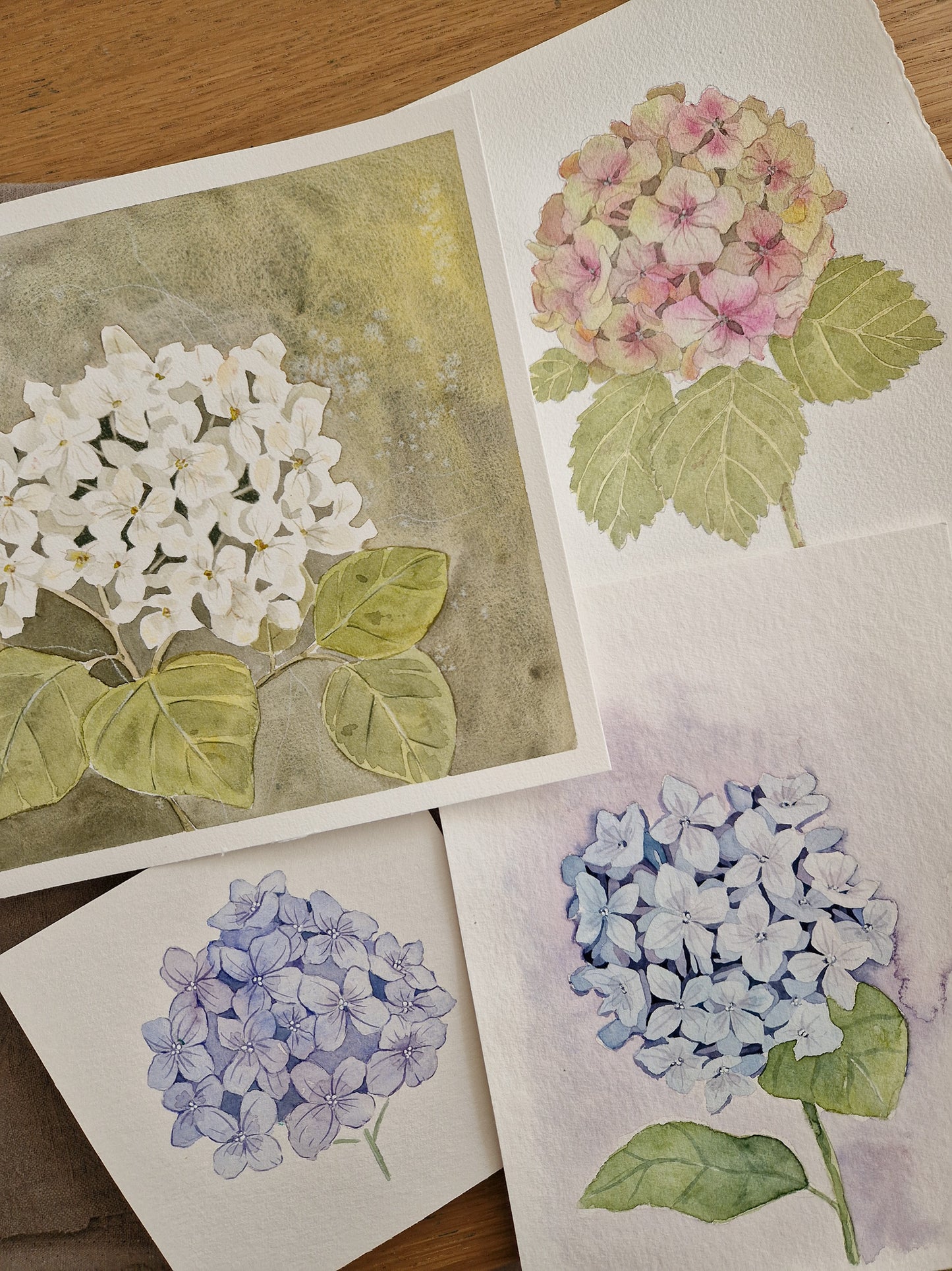 Aquarell Motiv-Workshops