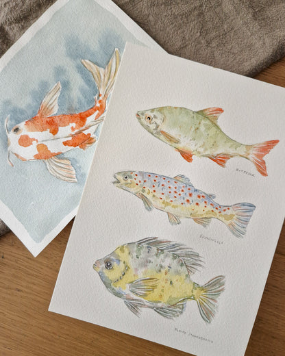 Aquarell Motiv-Workshops