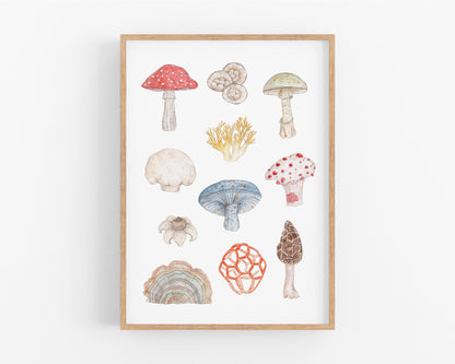 "Pilze" Kunstdruck - Din A4/Din A3