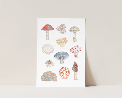 "Pilze" Kunstdruck - Din A4/Din A3